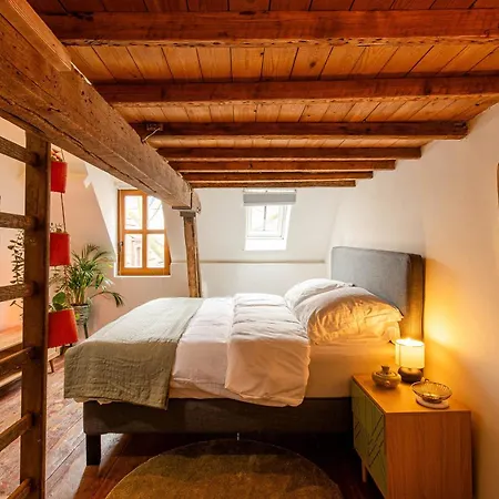 Tatil Evi Little