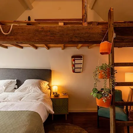 Tatil Evi Little